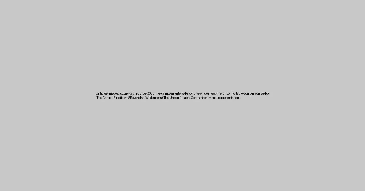 The Camps: Singita vs. &Beyond vs. Wilderness (The Uncomfortable Comparison) visual representation